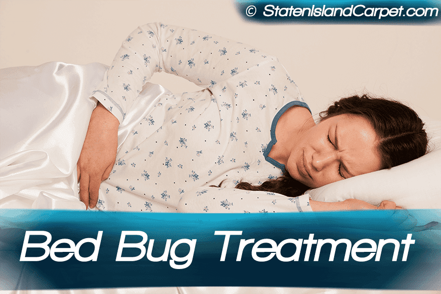 Bed Bug Treatment