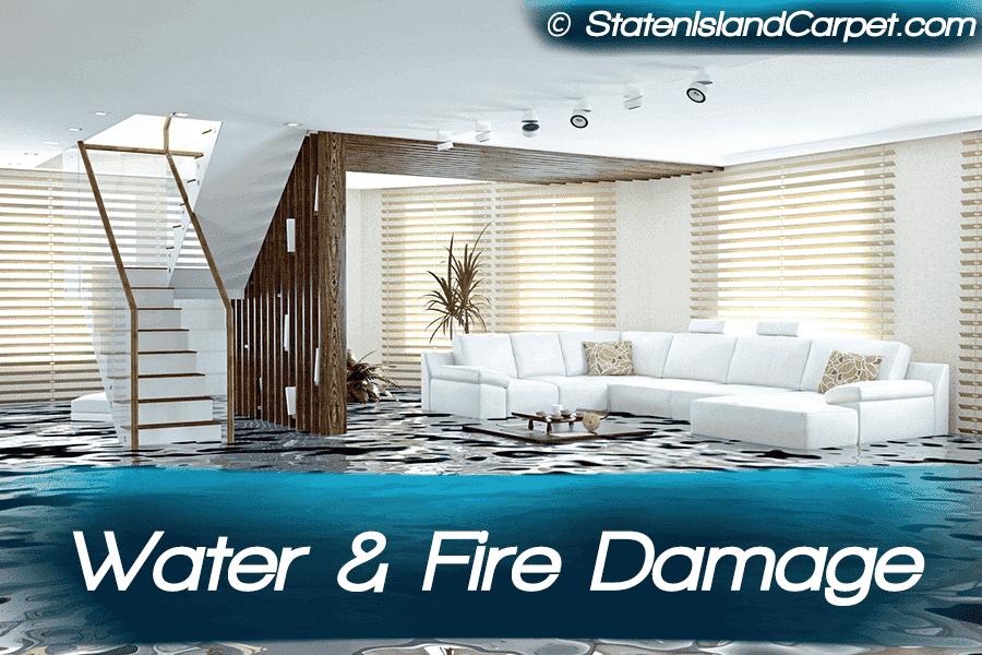 Water & Fire Damage